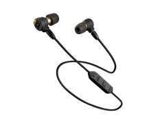 PRO EARS (1)