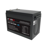 Акумуляторна батарея 25.6V 100AH LiFePo4 (підігрів/Bluetooth) Cyclen