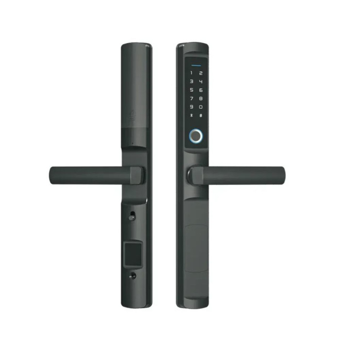 F2 ZigBee розумний замок Akubela