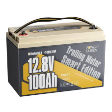 Акумуляторна батарея POWER QUEEN LiFePO4 12V100Ah Low-temp Bluetooth P12V100-100-LTP-BT-4-A100 POWER QUEEN