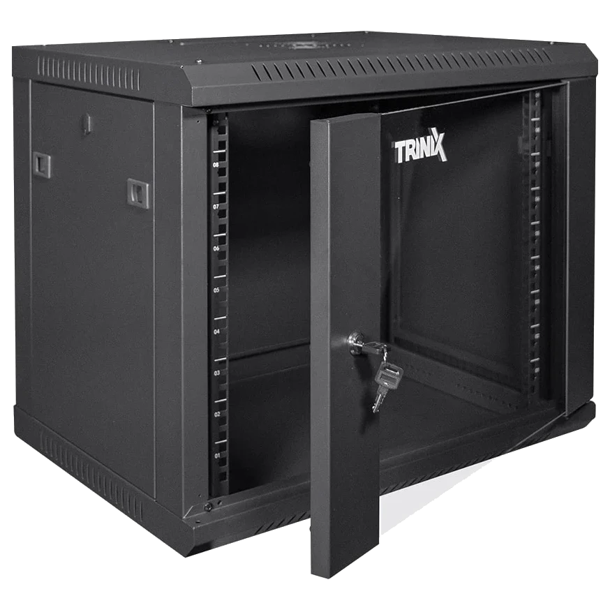 Комутаційна шафа Trinix TRX-9U/600x450x503 Black